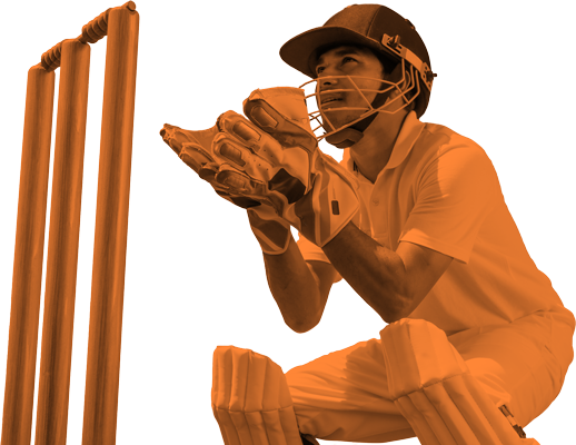 cricket cutout 400